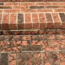 Pressure Washing, Exterior Cleaning, Power Washing, Surface Cleaning in Findlay, OH 5